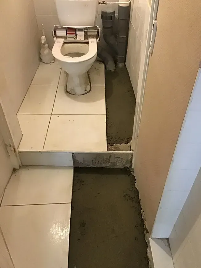 eco-vidange-ambazac
