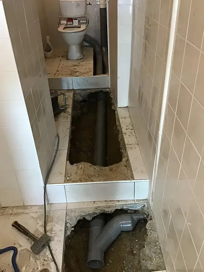 eco-vidange-ambazac